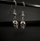 Skull  thumbnail