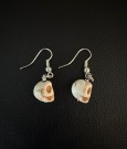 White skull thumbnail
